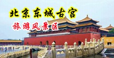 男女操逼免费视频网站JK美女中国北京-东城古宫旅游风景区